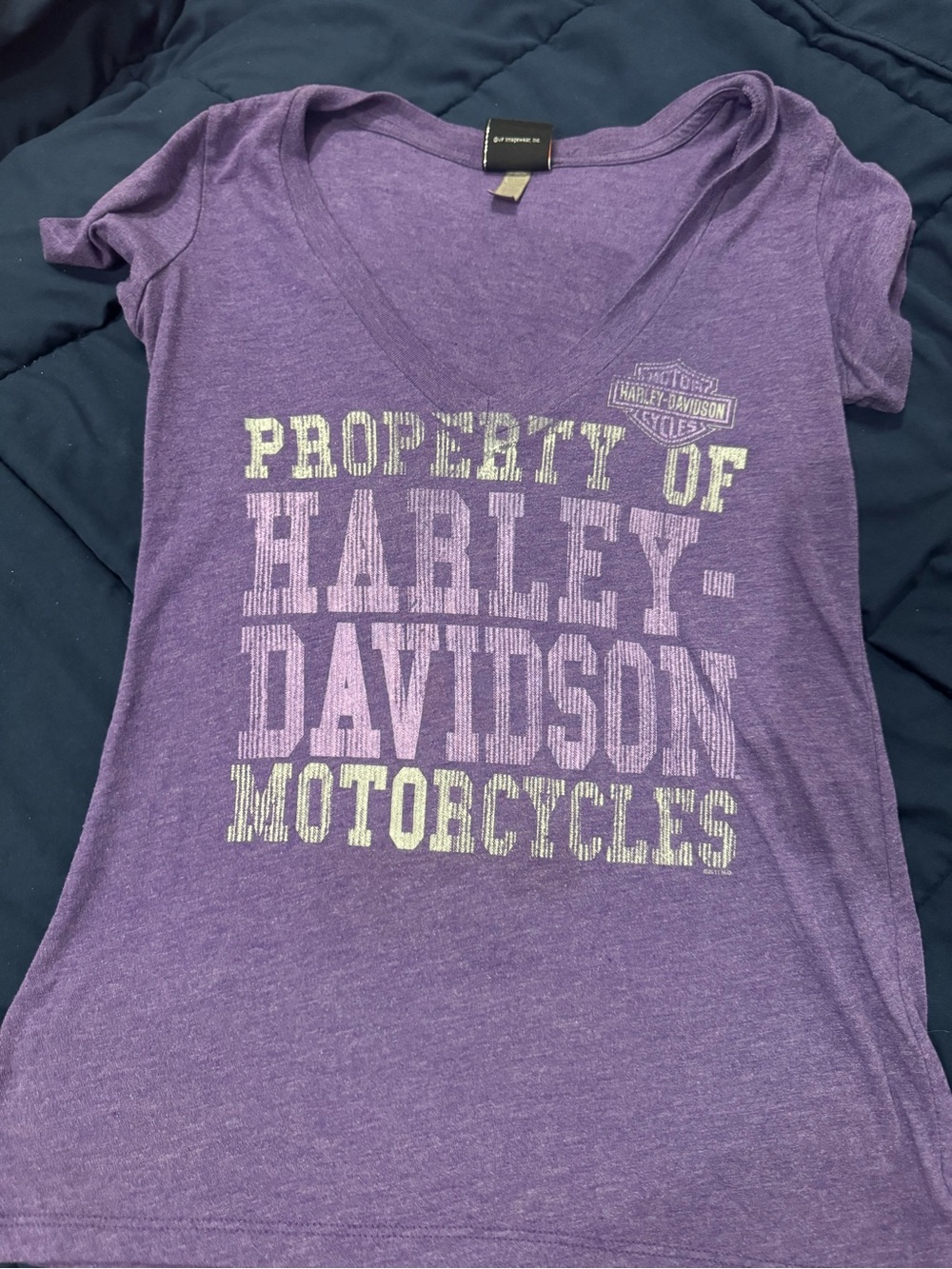 Harley-Davidson Purple Crewneck Tee with Branded Neck Label
